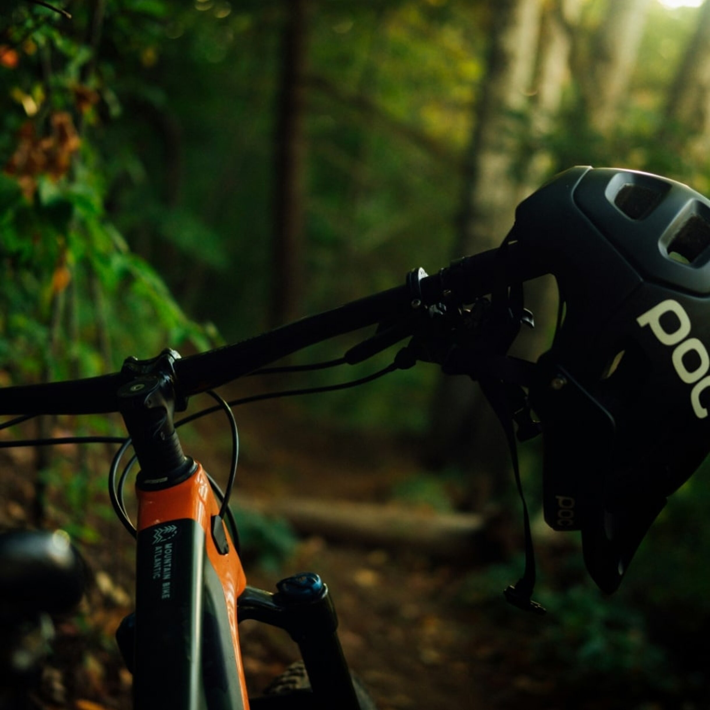 pedal through scenic trails